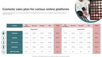 Cosmetic Sales Plan For Various Online Platforms