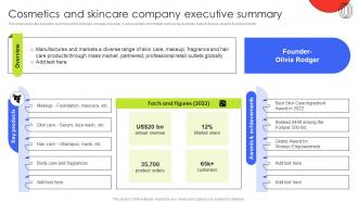 Cosmetics And Skincare Company Executive Summary Customer Demographic Segmentation MKT SS V