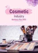 Cosmetics Industry Business Plan Pdf Word Document