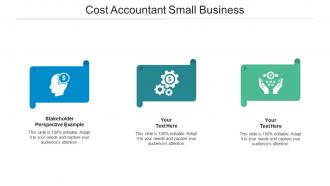 Cost accountant small business ppt powerpoint presentation ideas icons cpb
