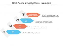 Cost accounting systems examples ppt powerpoint presentation icon shapes cpb