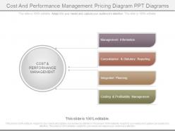 Cost and performance management pricing diagram ppt diagrams