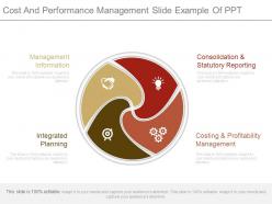 Cost and performance management slide example of ppt