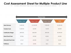 Cost Assessment Sheet For Multiple Product Line