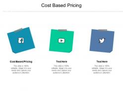 Cost based pricing ppt powerpoint presentation icon vector cpb