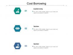 Cost borrowing ppt powerpoint presentation ideas rules cpb
