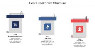 Cost breakdown structure ppt powerpoint presentation show structure cpb