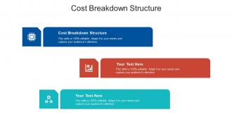 Cost breakdown structure ppt powerpoint presentation summary ideas cpb