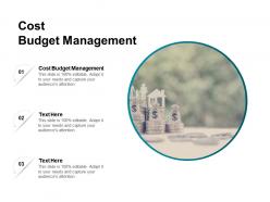 Cost budget management ppt powerpoint presentation styles diagrams cpb