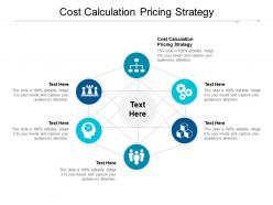 Cost calculation pricing strategy ppt powerpoint presentation infographic template topics cpb