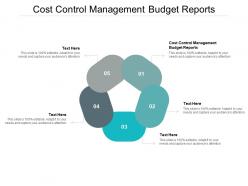 Cost control management budget reports ppt powerpoint presentation portfolio template cpb