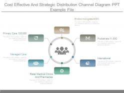 Cost effective and strategic distribution channel diagram ppt example file
