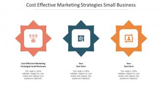 Cost Effective Marketing Strategies Small Business Ppt Powerpoint Presentation Topics Cpb