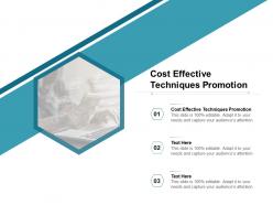 Cost effective techniques promotion ppt powerpoint presentation file visuals cpb