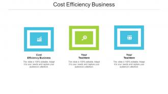 Cost efficiency business ppt powerpoint presentation slides graphics tutorials cpb