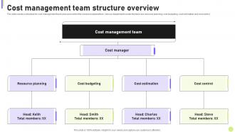 Cost Efficiency Strategies For Reducing Cost Management Team Structure Overview