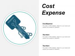 Cost expense ppt powerpoint presentation visual aids background images cpb