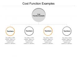 Cost function examples ppt powerpoint presentation icon show cpb