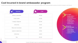Cost Incurred In Brand Ambassador Program Instagram Influencer Marketing Strategy SS V