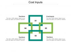 Cost inputs ppt powerpoint presentation show infographic template cpb