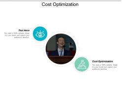 Cost optimization ppt powerpoint presentation ideas picture cpb