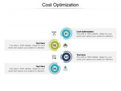 Cost optimization ppt powerpoint presentation outline example cpb