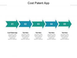 Cost patent app ppt powerpoint presentation ideas diagrams cpb