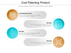 Cost patenting product ppt powerpoint presentation portfolio layout cpb