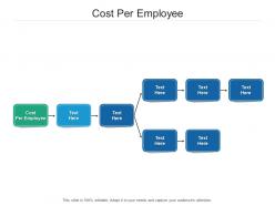 Cost per employee ppt powerpoint presentation inspiration clipart images cpb