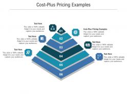 Cost plus pricing examples ppt powerpoint presentation file designs download cpb