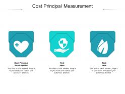 Cost principle measurement ppt powerpoint presentation model format cpb