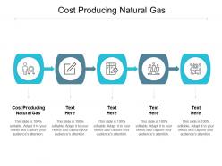Cost producing natural gas ppt powerpoint presentation styles example introduction cpb