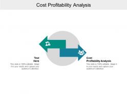 Cost profitability analysis ppt powerpoint presentation professional cpb
