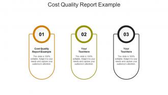 Cost quality report example ppt powerpoint presentation show information cpb