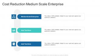 Cost Reduction Medium Scale Enterprise In Powerpoint And Google Slides Cpb