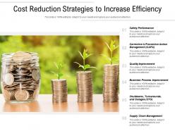 Cost reduction strategies to increase efficiency