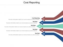 Cost reporting ppt powerpoint presentation pictures styles cpb
