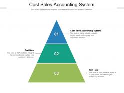 Cost sales accounting system ppt powerpoint presentation file pictures cpb