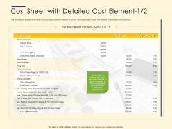 Cost Sheet With Detailed Cost Element Ppt Layouts Design Templates