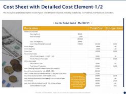 Cost Sheet With Detailed Cost Element Ppt Powerpoint Presentation Pictures