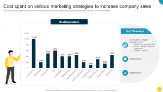 Cost Spent On Various Marketing Strategies To Increase Company Optimizing Companys Sales SA SS