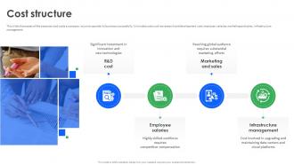 Cost Structure IBM Business Model Ppt Infographics BMC SS