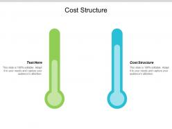 Cost structure ppt powerpoint presentation file graphics tutorials cpb