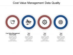 Cost value management data quality ppt powerpoint presentation styles slide cpb