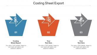 Costing Sheet Export Ppt Powerpoint Presentation Slides Examples Cpb