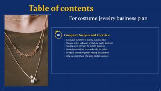 Costume Jewelry Business Plan Powerpoint Presentation Slides Multipurpose Interactive