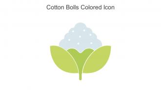 Cotton Bolls Colored Icon In Powerpoint Pptx Png And Editable Eps Format