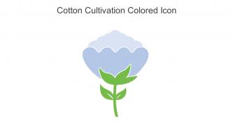 Cotton Cultivation Colored Icon In Powerpoint Pptx Png And Editable Eps Format