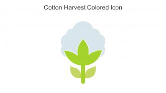 Cotton Harvest Colored Icon In Powerpoint Pptx Png And Editable Eps Format