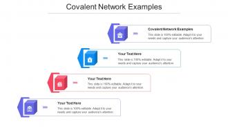 Covalent Network Examples Ppt Powerpoint Presentation Portfolio Vector Cpb